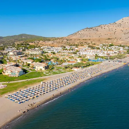 Apollo Classico فيلة